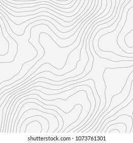 Topographic map background concept with space for your copy.Vector abstract illustration.Geography concept.
