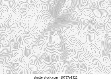 Topographic map background concept with space for your copy.Vector abstract illustration.Geography concept.
