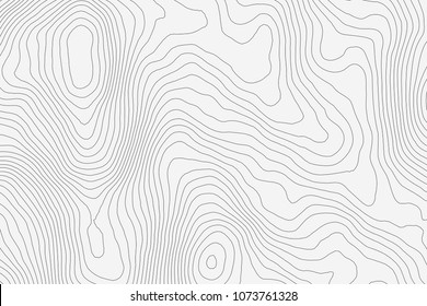 Topographic map background concept with space for your copy.Vector abstract illustration.Geography concept.
