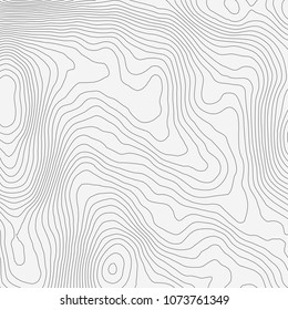 Topographic map background concept with space for your copy.Vector abstract illustration.Geography concept.
