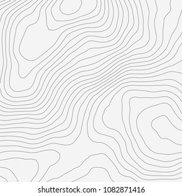 Topographic map background concept with space for your copy.Vector abstract illustration.Geography concept.