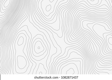 Topographic map background concept with space for your copy.Vector abstract illustration.Geography concept.