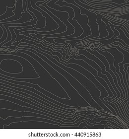 Topographic map background concept with space for your copy. Topo contour map background, vector illustration