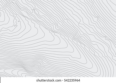 Topographic map background concept with space for your copy.Vector abstract illustration.Geography concept.