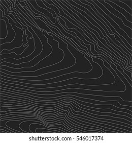 Topographic map background concept with space for your copy.Vector abstract illustration.Geography concept.