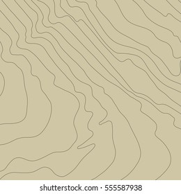 Topographic map background concept with space for your copy.Vector abstract illustration.Geography concept.