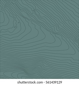 Topographic map background concept with space for your copy.Vector abstract illustration.Geography concept.