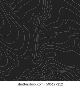 Topographic map background concept with space for your copy.Vector abstract illustration.Geography concept.