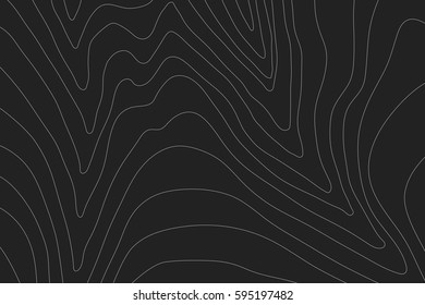Topographic map background concept with space for your copy.Vector abstract illustration.Geography concept.