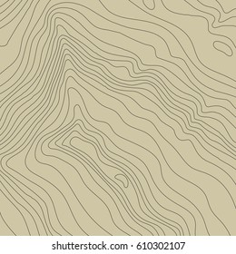 Topographic map background concept with space for your copy.Vector abstract illustration.Geography concept.