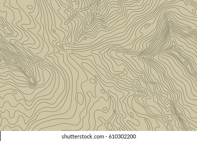 Topographic map background concept with space for your copy.Vector abstract illustration.Geography concept.