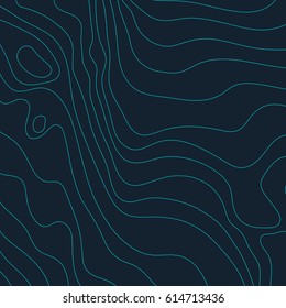 Topographic map background concept with space for your copy.Vector abstract illustration.Geography concept.