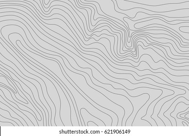 Topographic map background concept with space for your copy.Vector abstract illustration.Geography concept.