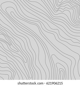 Topographic map background concept with space for your copy.Vector abstract illustration.Geography concept.