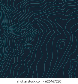 Topographic map background concept with space for your copy.Vector abstract illustration.Geography concept.