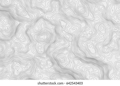 Topographic map background concept with space for your copy.Vector abstract illustration.Geography concept.