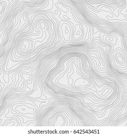 Topographic map background concept with space for your copy.Vector abstract illustration.Geography concept.