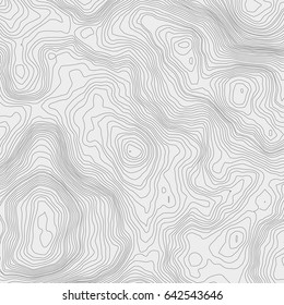 Topographic map background concept with space for your copy.Vector abstract illustration.Geography concept.