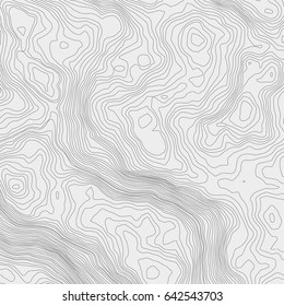 Topographic map background concept with space for your copy.Vector abstract illustration.Geography concept.