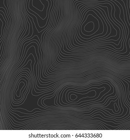 Topographic map background concept with space for your copy.Vector abstract illustration.Geography concept.