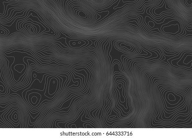 Topographic map background concept with space for your copy.Vector abstract illustration.Geography concept.