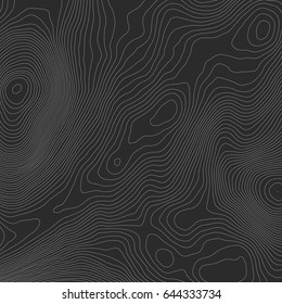 Topographic map background concept with space for your copy.Vector abstract illustration.Geography concept.