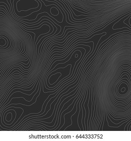 Topographic map background concept with space for your copy.Vector abstract illustration.Geography concept.