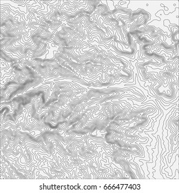 Topographic map background concept with space for your copy. Topo contour map background, vector illustration