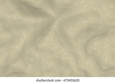 Topographic map background concept with space for your copy.Vector abstract illustration.Geography concept.