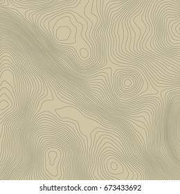 Topographic map background concept with space for your copy.Vector abstract illustration.Geography concept.