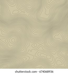 Topographic map background concept with space for your copy.Vector abstract illustration.Geography concept.