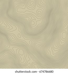 Topographic map background concept with space for your copy.Vector abstract illustration.Geography concept.
