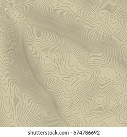 Topographic map background concept with space for your copy.Vector abstract illustration.Geography concept.
