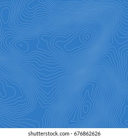 Topographic map background concept with space for your copy.Vector abstract illustration.Geography concept.