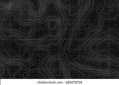 Topographic map background concept with space for your copy.Vector abstract illustration.Geography concept.