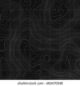 Topographic map background concept with space for your copy.Vector abstract illustration.Geography concept.