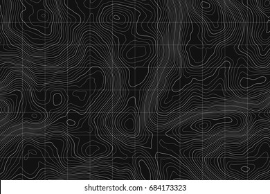 Topographic map background concept with space for your copy.Vector abstract illustration.Geography concept.