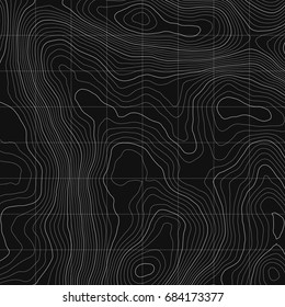 Topographic map background concept with space for your copy.Vector abstract illustration.Geography concept.