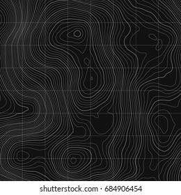 Topographic map background concept with space for your copy.Vector abstract illustration.Geography concept.