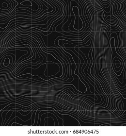 Topographic map background concept with space for your copy.Vector abstract illustration.Geography concept.