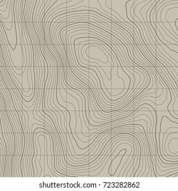 Topographic map background concept with space for your copy.Vector abstract illustration.Geography concept.