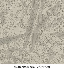 Topographic map background concept with space for your copy.Vector abstract illustration.Geography concept.