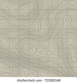 Topographic map background concept with space for your copy.Vector abstract illustration.Geography concept.