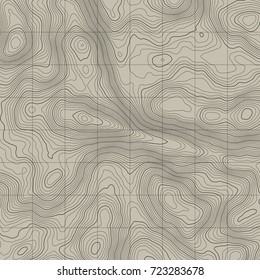 Topographic map background concept with space for your copy.Vector abstract illustration.Geography concept.