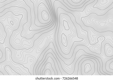 Topographic map background concept with space for your copy.Vector abstract illustration.Geography concept.