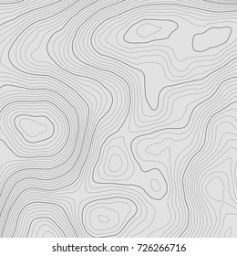 Topographic map background concept with space for your copy.Vector abstract illustration.Geography concept.