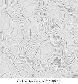 Topographic map background concept with space for your copy. Vector abstract illustration.Geography concept.