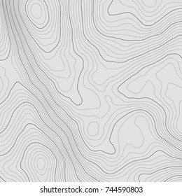 Topographic map background concept with space for your copy.Vector abstract illustration.Geography concept.