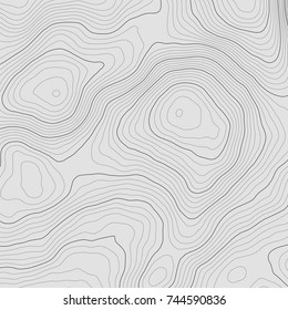 Topographic map background concept with space for your copy.dVector abstract illustration.Geography concept.