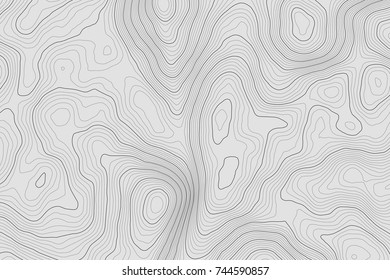 Topographic map background concept with space for your copy.Vector abstract illustration.Geography concept.